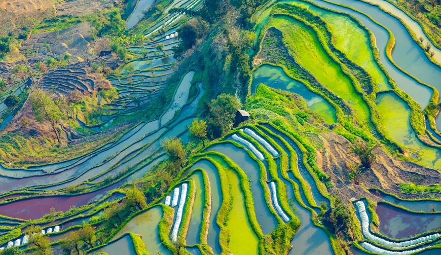 走进横县TVC拍摄：解锁本地化场景与创意镜头的完美融合